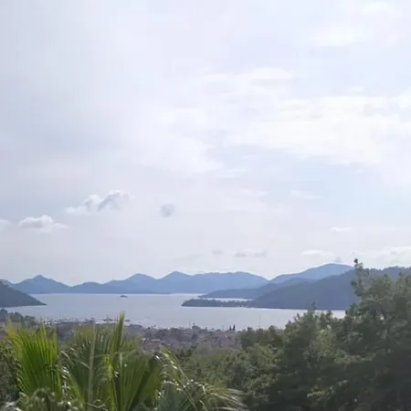 Pine 1 Fethiye